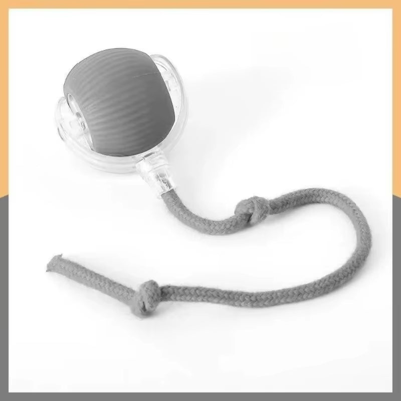 Interactive Cat Rolling Ball Toy